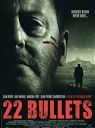 22 Bullets